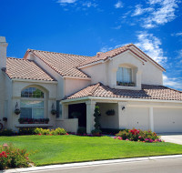 Sed blandit massa vel